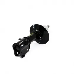 Amortiguador del para neon crusier 0008