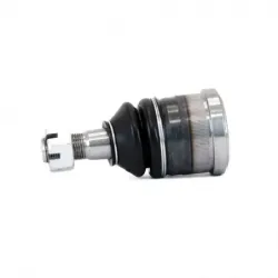 Rotula Inf B100 7078 B150...