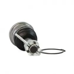 Rotula Inf 0106 Altima 9301