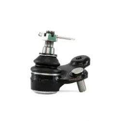 Rotula Inf CRV 0716 HRV 1518