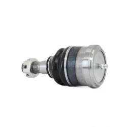 Rotula Inf C10 7378 C15 799