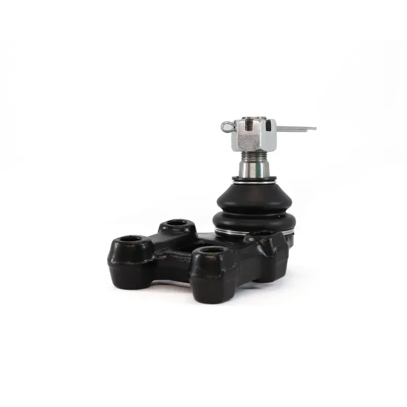 Rotula Inf Urvan 0014