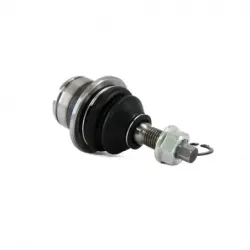 Rotula Inf Expedition 0306