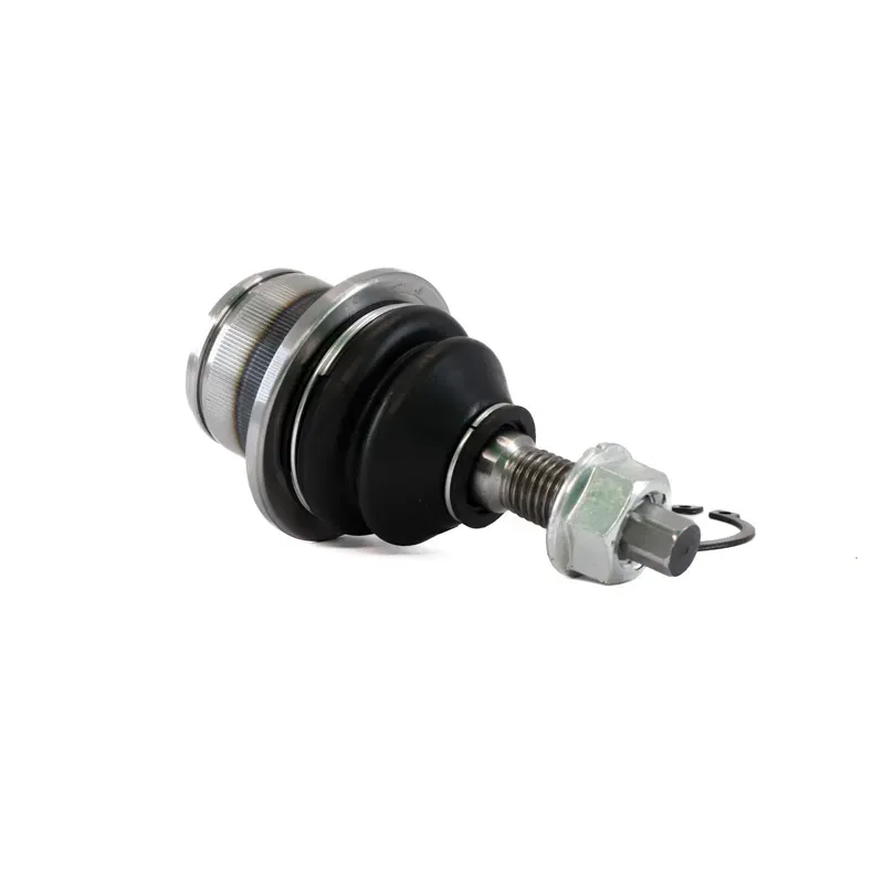 Rotula Inf Expedition 0306