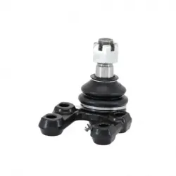 Rotula Inf PickUp 8397 Pathfinder8796