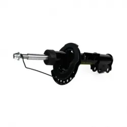 Amort DD Hyundai Elantra CTope 1116