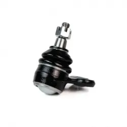 Rotula Inf Lacrosse 0509 Park Avenue 9