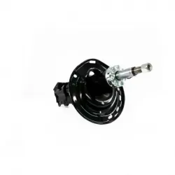 Amort Del Izq Sienna 0610