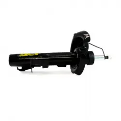 Amort Del Der C30 0811 Focus 0711