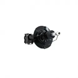 Amort Del Izq Escape...