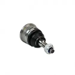 Rotula Inf Liberty 0207...