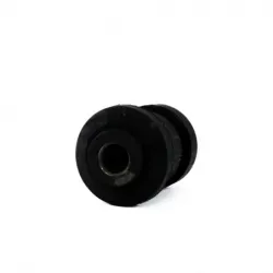 Bujes Inf Del Focus 0006