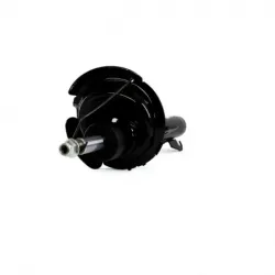 Amort Del Der C30 0811 Focus 0711