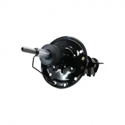 Amort DI Neon nvo diseño CTope 1618