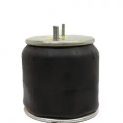 Bolsa de aire susp Hendrickson