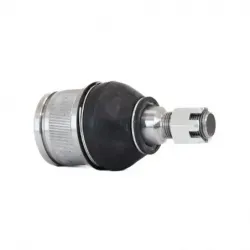 Rotula Inf E250 9206 E350 9206 E45