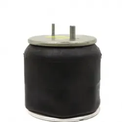 Bolsa de aire susp Hendrickson