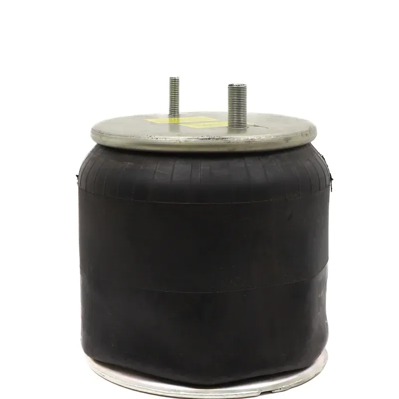 Bolsa de aire susp Hendrickson