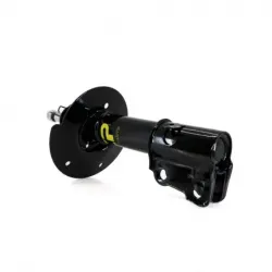 Amortiguador del para neon...