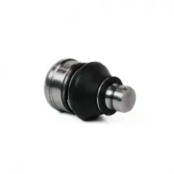 Rotula Inf Caliber 0711 Compass 0715