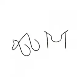 Seguro de araña para rodillo std  por