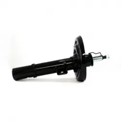 Amort Del Der Civic 1619