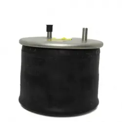 Bolsa de aire para suspension