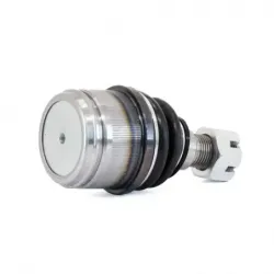 P Rotula Inf Excur2on 9906 F250 99