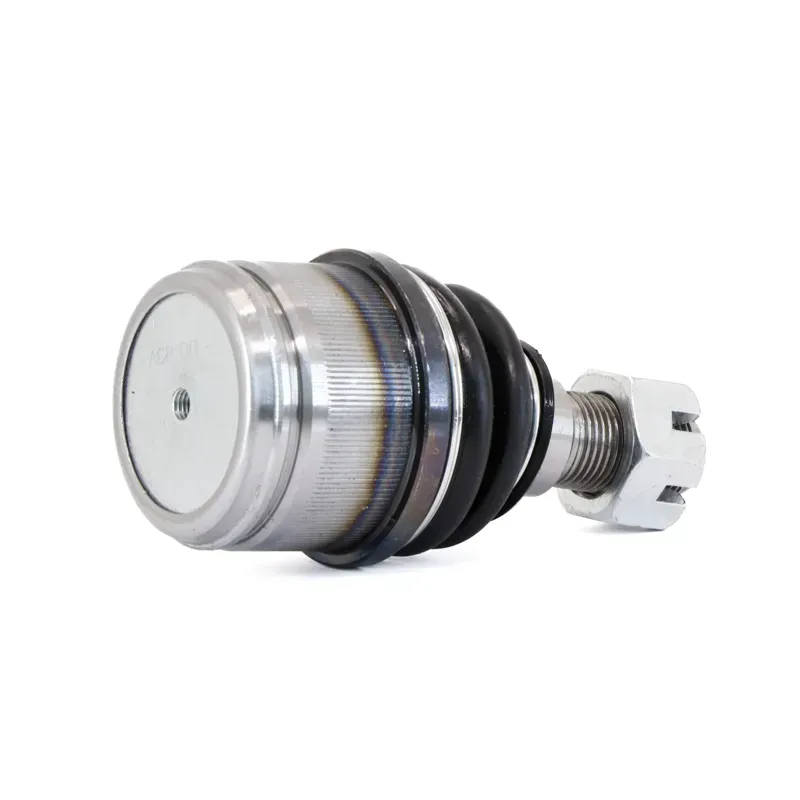 P Rotula Inf Excur2on 9906 F250 99