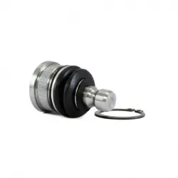 Rotula Inf March 1117 Versa 1218