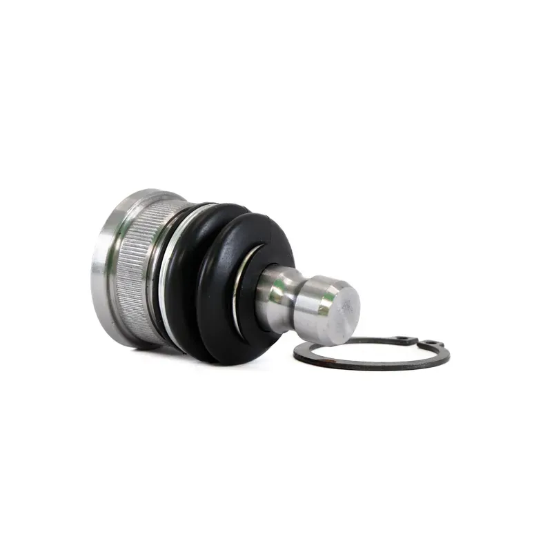 Rotula Inf March 1117 Versa 1218