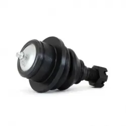 Rotula Inf Expedition 9709