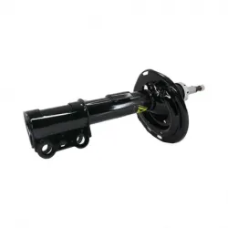 Amort Del Der Sienna 0610