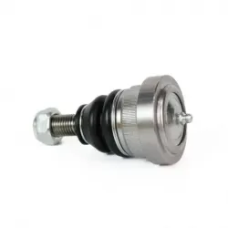 Rotula Inf Crown Victoria 9502 Grand M