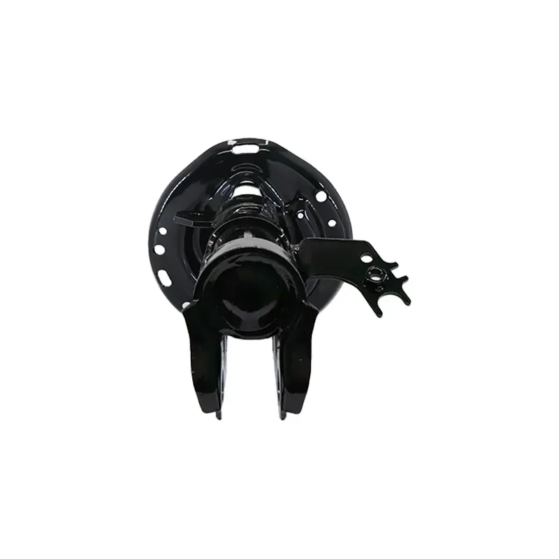 Amort DI Toyota Camry se 1217