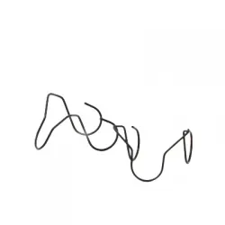 Seguro de araña para rodillo std  por