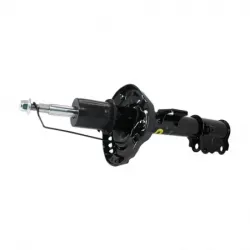 Amort DD seltos 2021