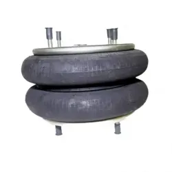 Bolsa de aire para suspension