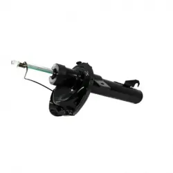 Amort Del Izq C30 0811 Focus 0711