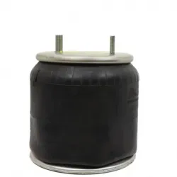 Bolsa de aire susp Hendrickson