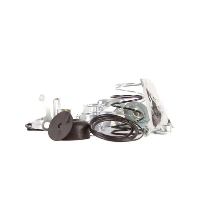 Repuesto mayor para valvula de pie e6