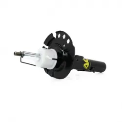 Amortiguador Del Der Focus 1418