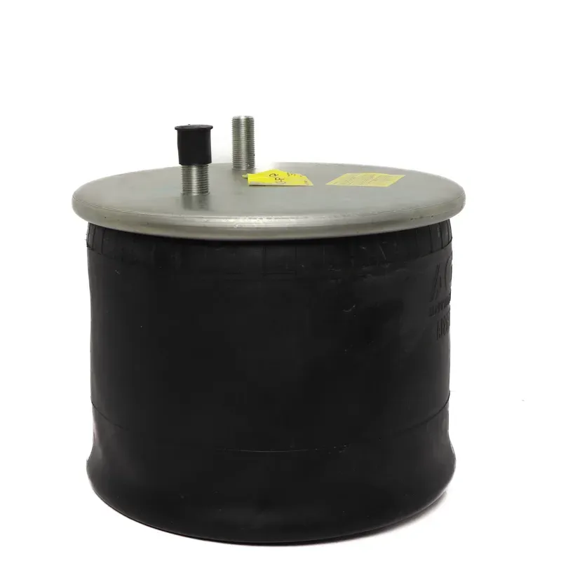 Bolsa de aire para suspension