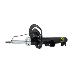 Amort Del Der Vision 1518