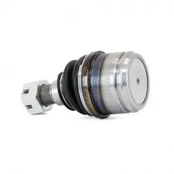 P Rotula Inf Excur2on 9906 F250 99