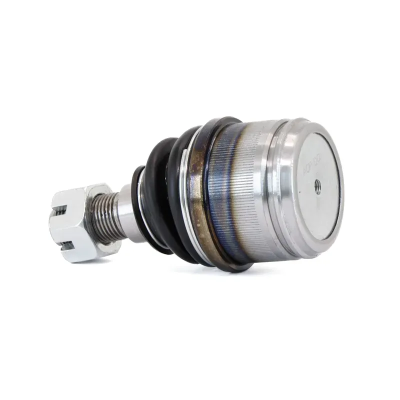 P Rotula Inf Excur2on 9906 F250 99