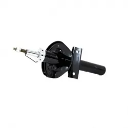 Amort Del Freestar 0406 Monterey 0407