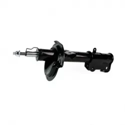 Amort D Ford Mustang 1114