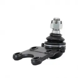 Rotula Inf Canyon 4x2 0415