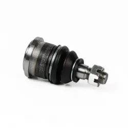 Rotula Inf Sable 9606 Taurus 9607 Con